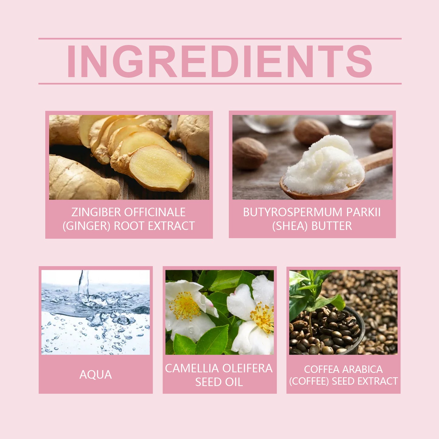 Crema de Masaje Corporal Wiyun: Mejora la elasticidad de la piel, reafirma y, con su fórmula suave, hidrata y nutre la piel.(Caricia Prohibida)