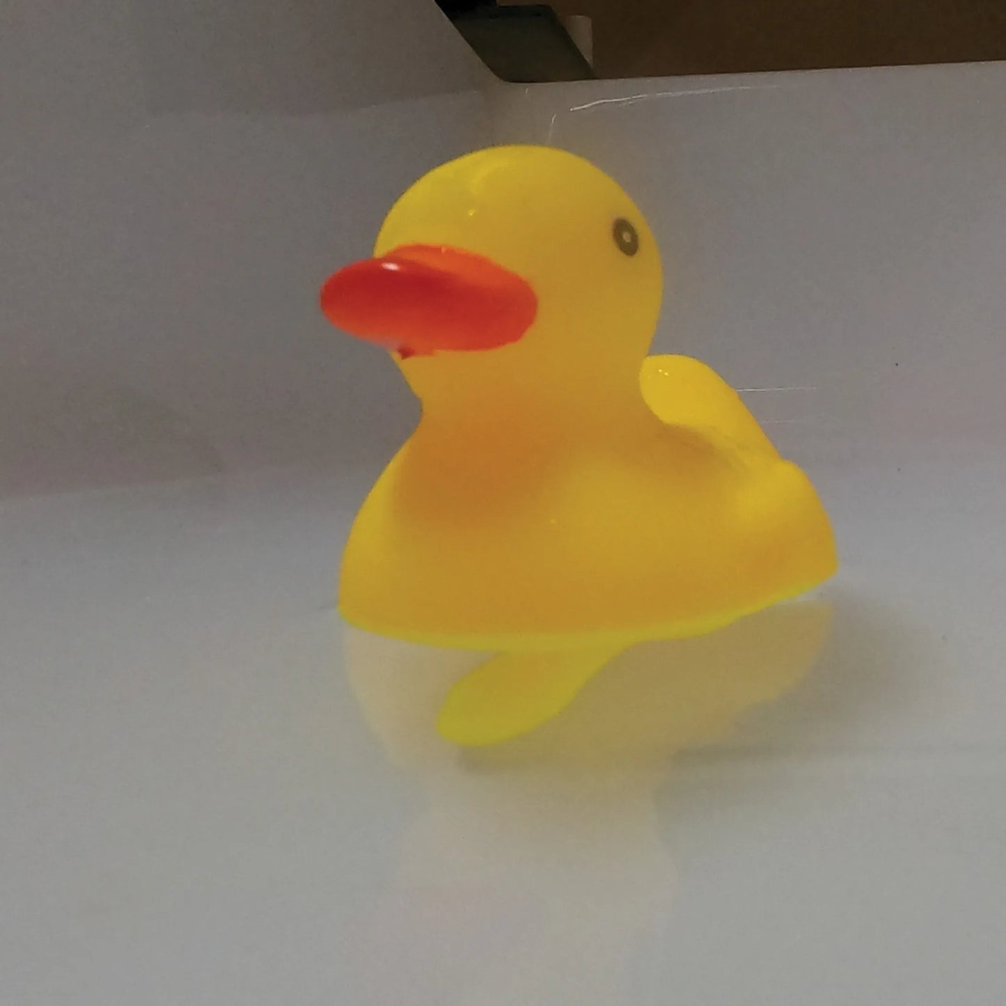 El Pato del WhatsApp (Pato con Pene)