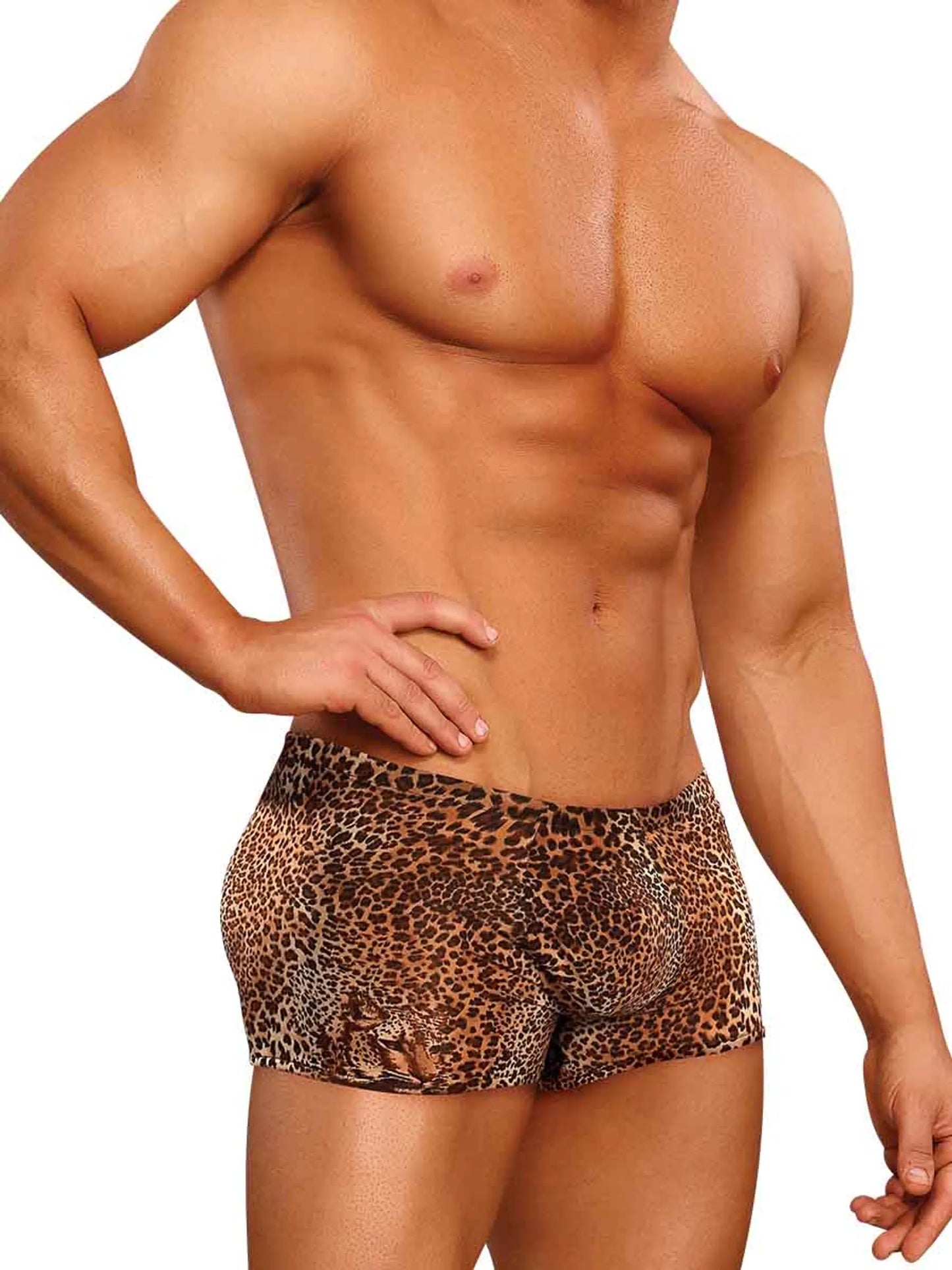 Gato salvage (Shorts de Bolsa Animal Mediano Leopardo)