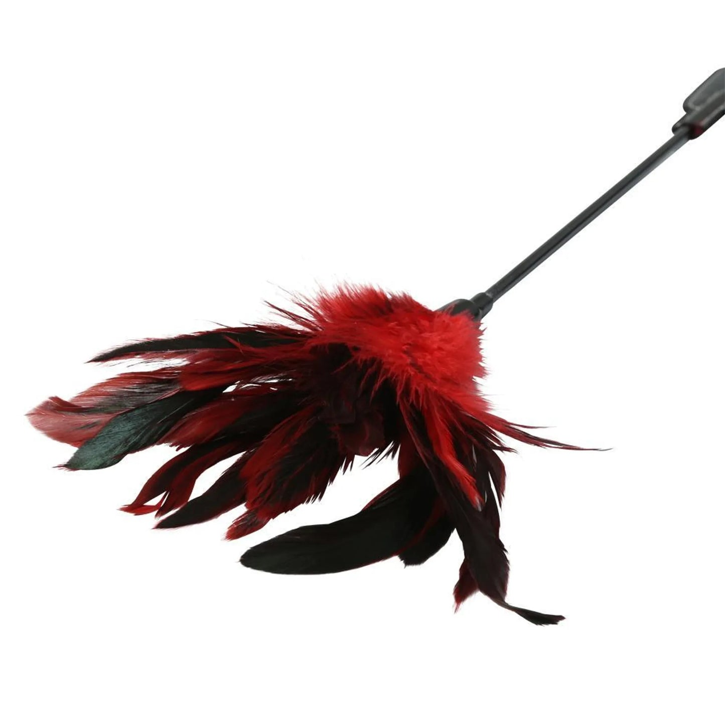 Azótame la puntita (Sex & Mischief Azotador de Plumas)