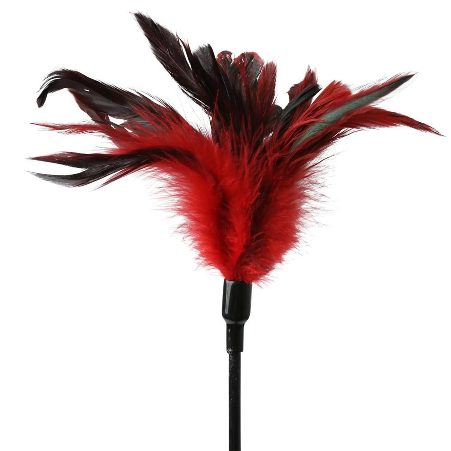 Azótame la puntita (Sex & Mischief Azotador de Plumas)