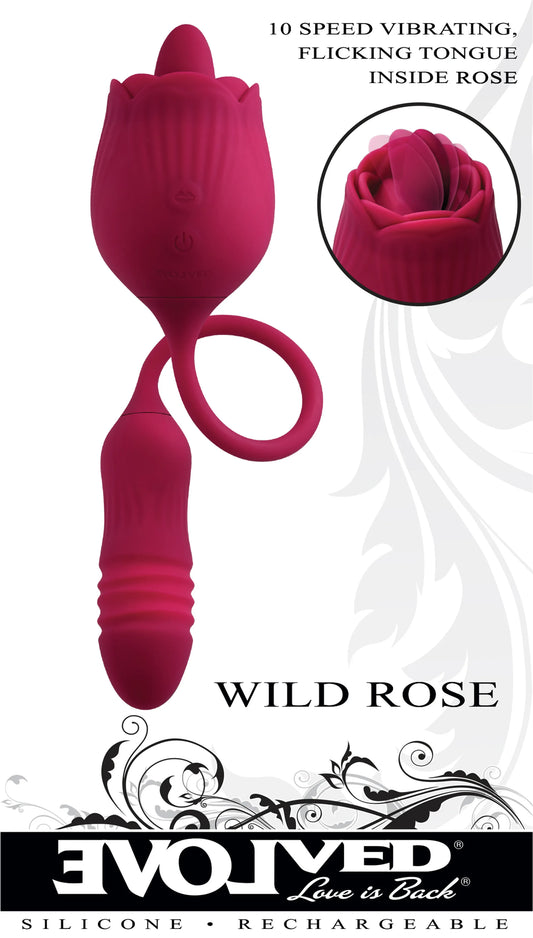 EVOLVED WILD ROSE