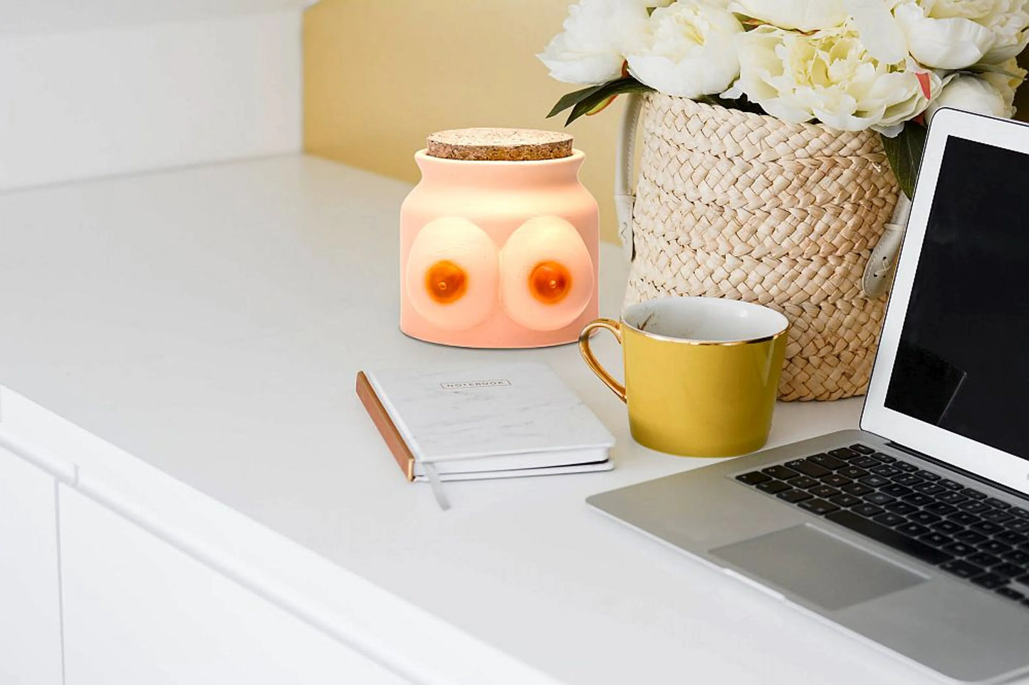 BOOB STASH JAR